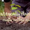 Strategically Planted - Called for the Kingdom